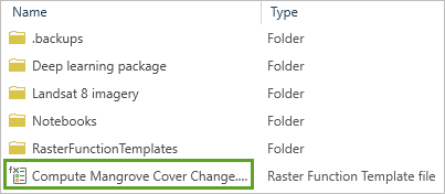 Sélectionnez le modèle Raster Function (Fonction raster).