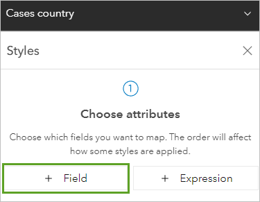 Option Field (Champ) sous la section Choose attributes (Choisir des attributs) dans la fenêtre Styles