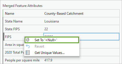 Option Set To '<Null>' (Définir sur '<Null>')