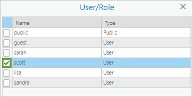 Fenêtre User/Role (Utilisateur/Rôle)