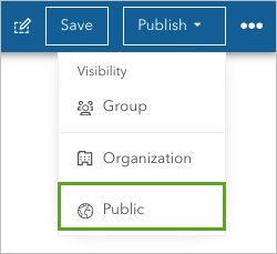 Option Public dans le menu Publish (Publier)