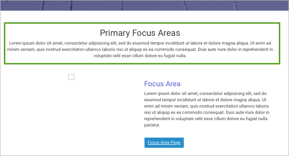 Zone de texte Primary Focus Areas (Principales zones ciblées)