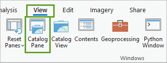 Catalog Pane (Fenêtre Catalogue) dans le groupe Windows (Fenêtres) de l’onglet View (Vue)