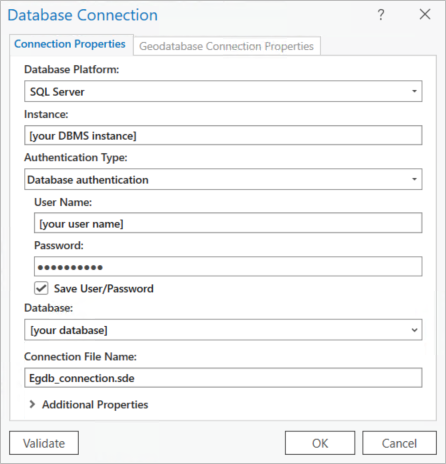 Fenêtre Database Connection (Connexion à une base de données)