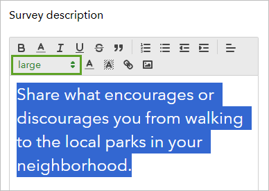 Style large dans la fenêtre Survey description (Description de l’enquête)