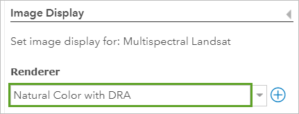 Moteur de rendu avec l’option Couleur naturelle avec DRA sélectionnée