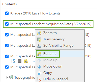 Option Rename layer (Renommer la couche)