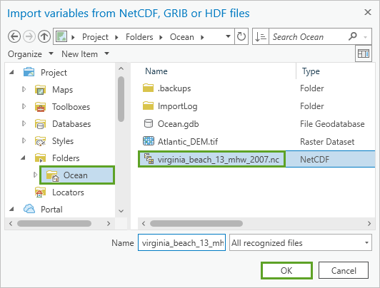 Fichier Virginia Beach.nc sélectionné dans la fenêtre Import Variables From NetCDF, GRIB or HDF files (Importer des variables depuis des fichiers NetCDF, GRIB ou HDF).