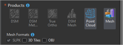 Produits en sortie Point Cloud (Nuage de points) et Mesh (Maillage)