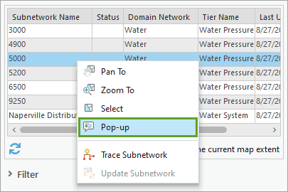 Option Pop-up (Fenêtre contextuelle) dans le menu contextuel du sous-réseau