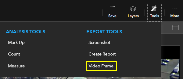 Option de l’outil Capture Video Frame (Capturer une image vidéo)