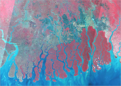 Les Sundarbans avec la combinaison de canaux Couleur infrarouge