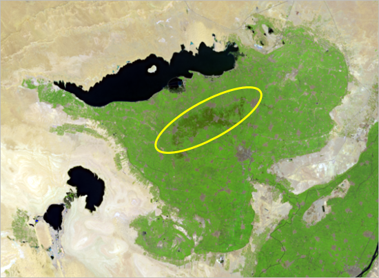 Zone verte plus foncée vers le centre de l’oasis