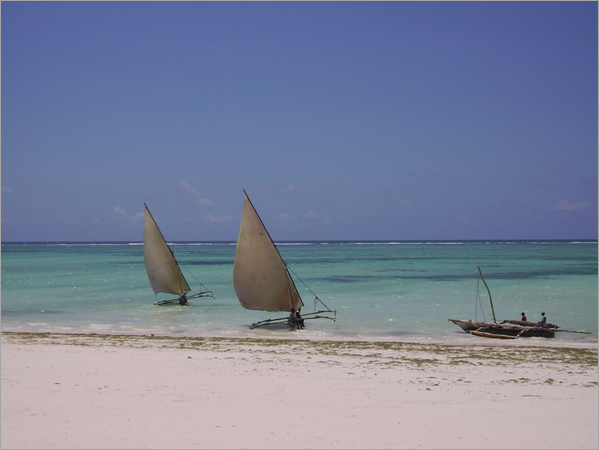 Vue d’une plage à Zanzibar sur l’Océan Indien