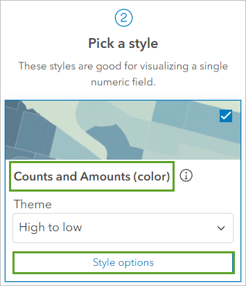 Style Counts and Amounts (color) (Totaux et montants (couleur)) et bouton Style options (Options de style)