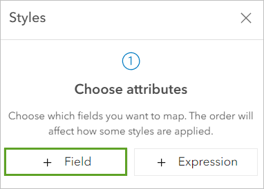 Champ sous Choose attributes (Choisir des attributs) dans la fenêtre Styles (Styles)