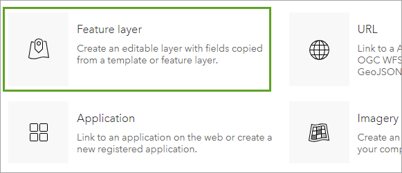 Option Feature layer (Couche d’entités)