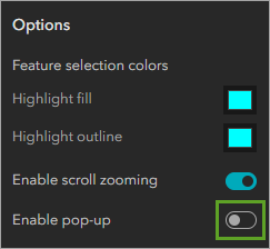 Option Enable Pop-up (Activer la fenêtre contextuelle)