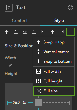 Option Full size (Taille réelle) dans le menu Options