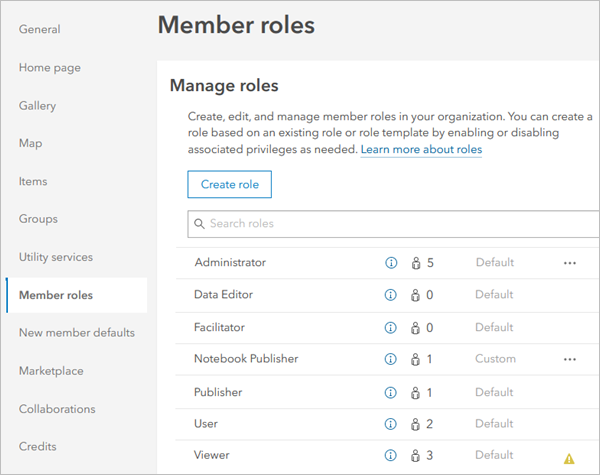 Ouvrez l’onglet Member roles (Rôles des membres) pour découvrir les rôles disponibles dans l’organisation.