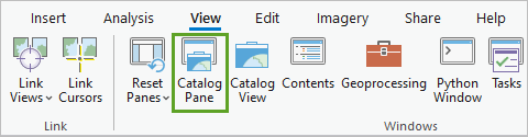 Catalog Pane (Fenêtre Catalogue) dans le groupe Windows (Fenêtres) de l’onglet View (Vue)