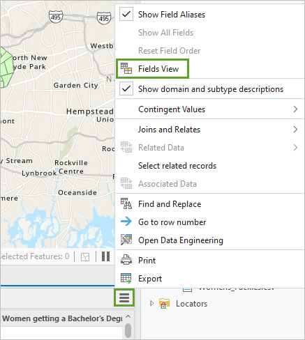 Option Vue des champs dans le menu des options de la table