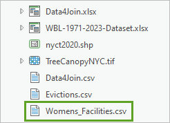 Fichier Womens_Facilities.csv