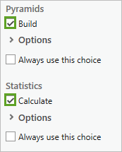 Fenêtre Build Pyramids and Calculate Statistics (Générer les pyramides et calculer les statistiques)