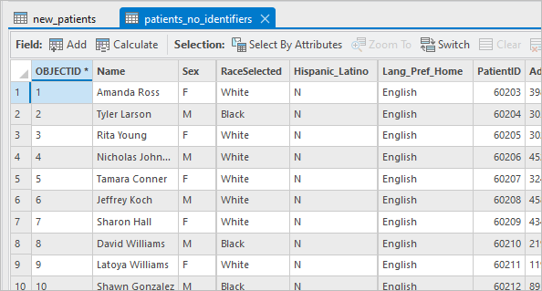 La table patients-no-identifiers s’ouvre sur la carte. Il s’agit d’une copie de la table new_patients.