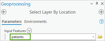 Option Input Features (Entités en entrée) définie sur patients (patients)