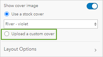 Option Upload a custom cover (Charger une image de couverture personnalisée)