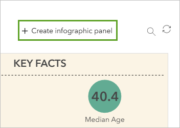 Option Créer un volet d’infographie