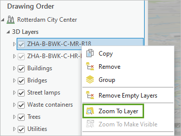 Option de menu Zoom to Layer (Zoom sur la couche)