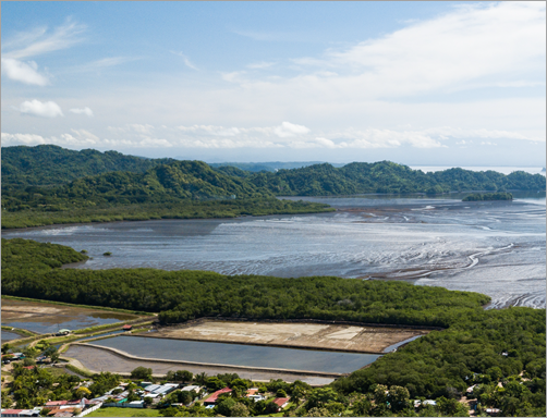 Les bassins d’un élevage de crevettes au Costa Rica
