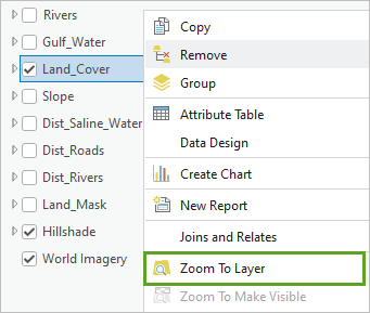 Option de menu Zoom to Layer (Zoom sur la couche)