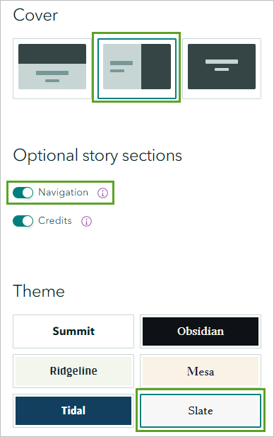 Paramètres Cover (Couverture), Optional story sections (Sections facultatives des récits) et Theme (Thème) configurés dans la fenêtre Design (Concevoir)