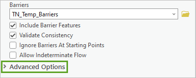 Section Advanced Options (Options avancées)