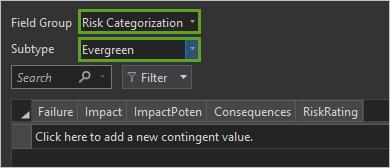 条件値ビューでフィールド グループが Risk Categorization に設定され、サブタイプが Evergreen に設定された状態