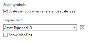 Asset Type and ID に設定された表示フィールド