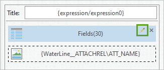 Fields アイテムのポップアップ エレメントの編集 ボタン