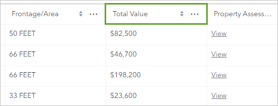 テーブルの Total Value フィールド