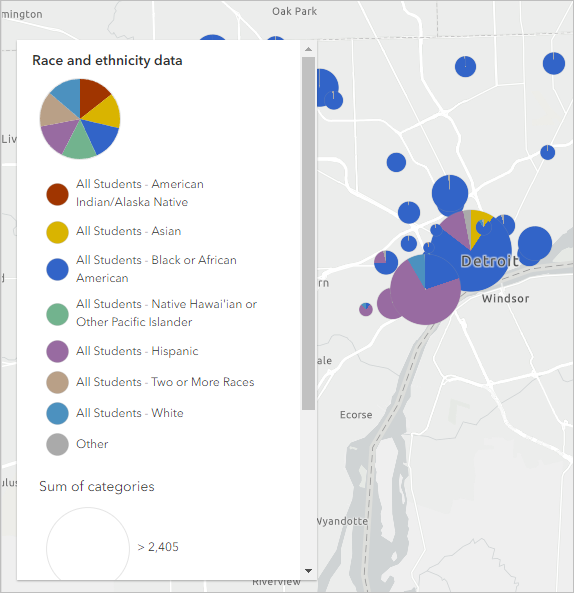 マップ上のチャートおよびサイズに合わせてスタイル設定された Race and ethnicity data レイヤー