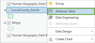 LucasCounty_Enrich レイヤーの属性テーブル オプション