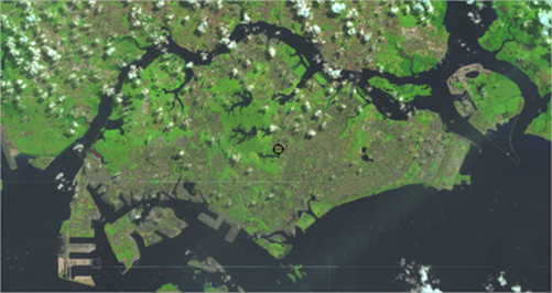 マップに追加された Landsat レイヤー。