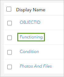 Functioning フィールドの表示名