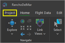 プロジェクト タブ