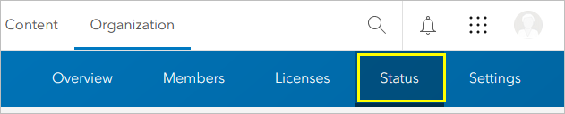 組織のステータス タブを開きます。