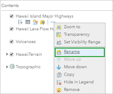 名前の変更オプション