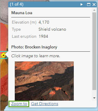 [ズーム] オプション