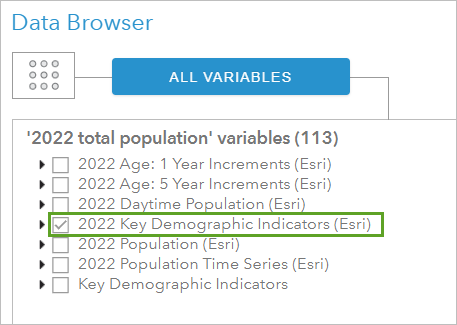 2022 Total Population (Esri)